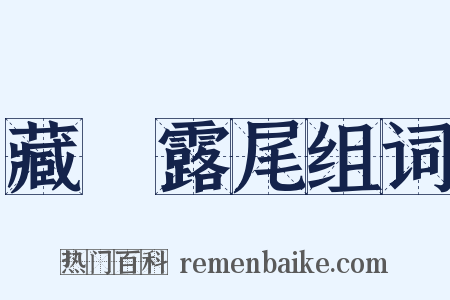 藏頭露尾组词是什么意思的图片